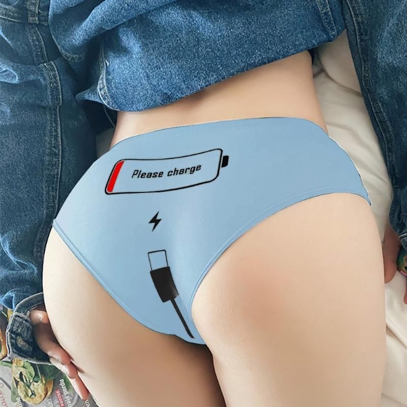 Funny PLEASE CHARGE PANTIES Women’s Low Rise Briefs Graphic Printed New
