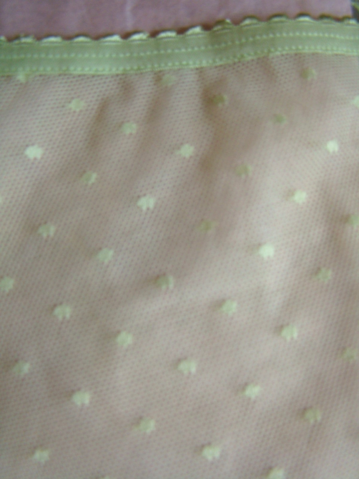 New Victoria’s Secret Green Floral Lace Mesh Back Polk Dots Cheeky Panty