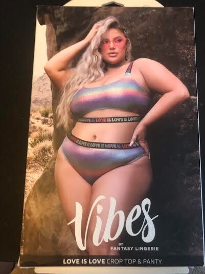 Vibes by Fantasy Lingerie Love is Love Crop top and Panty