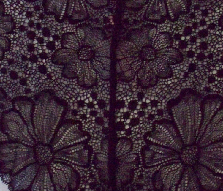 L NOIR Black Victorias Secret NoShow FULL Back Floral Lace Hiphugger Pantie