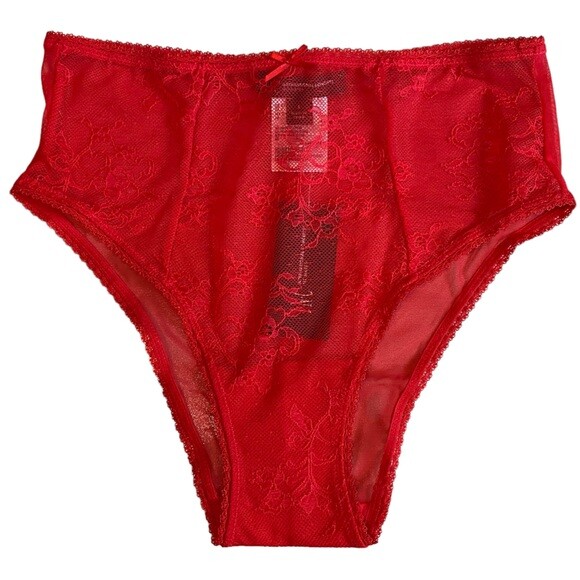 I.N.C. INTERNATIONAL CONCEPTS Women’s Cheeky Lace Brief Underwear Ski Patrol