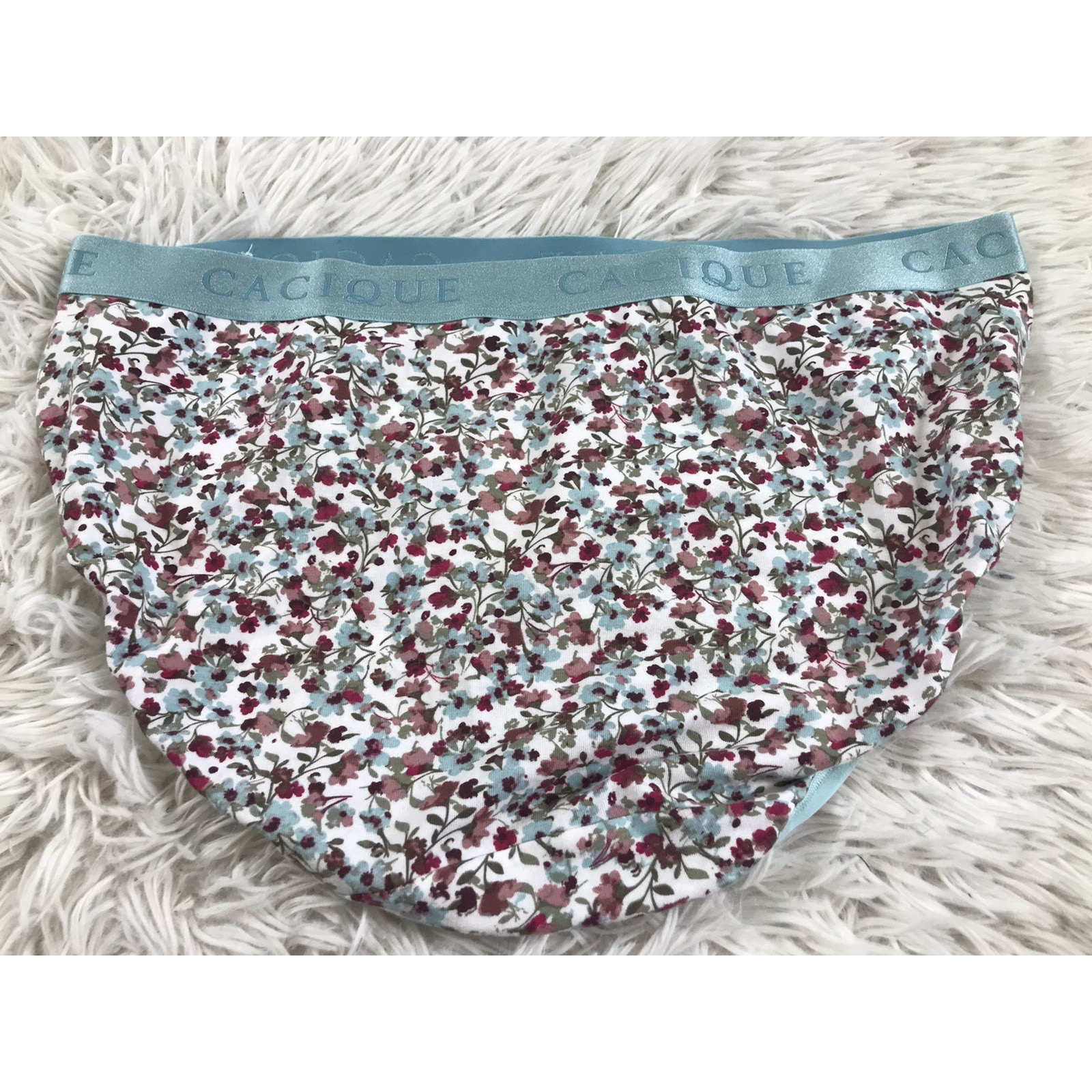 Lane Bryant Cacique PLUS SIZE Extra Soft Hipster Panty UNDERWEAR Floral sz 18/20