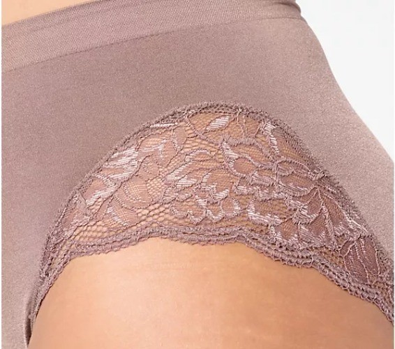 Breezies Natural Curves Lace Full Brief Panties Woodrose 3PK LARGE A647771 NWT