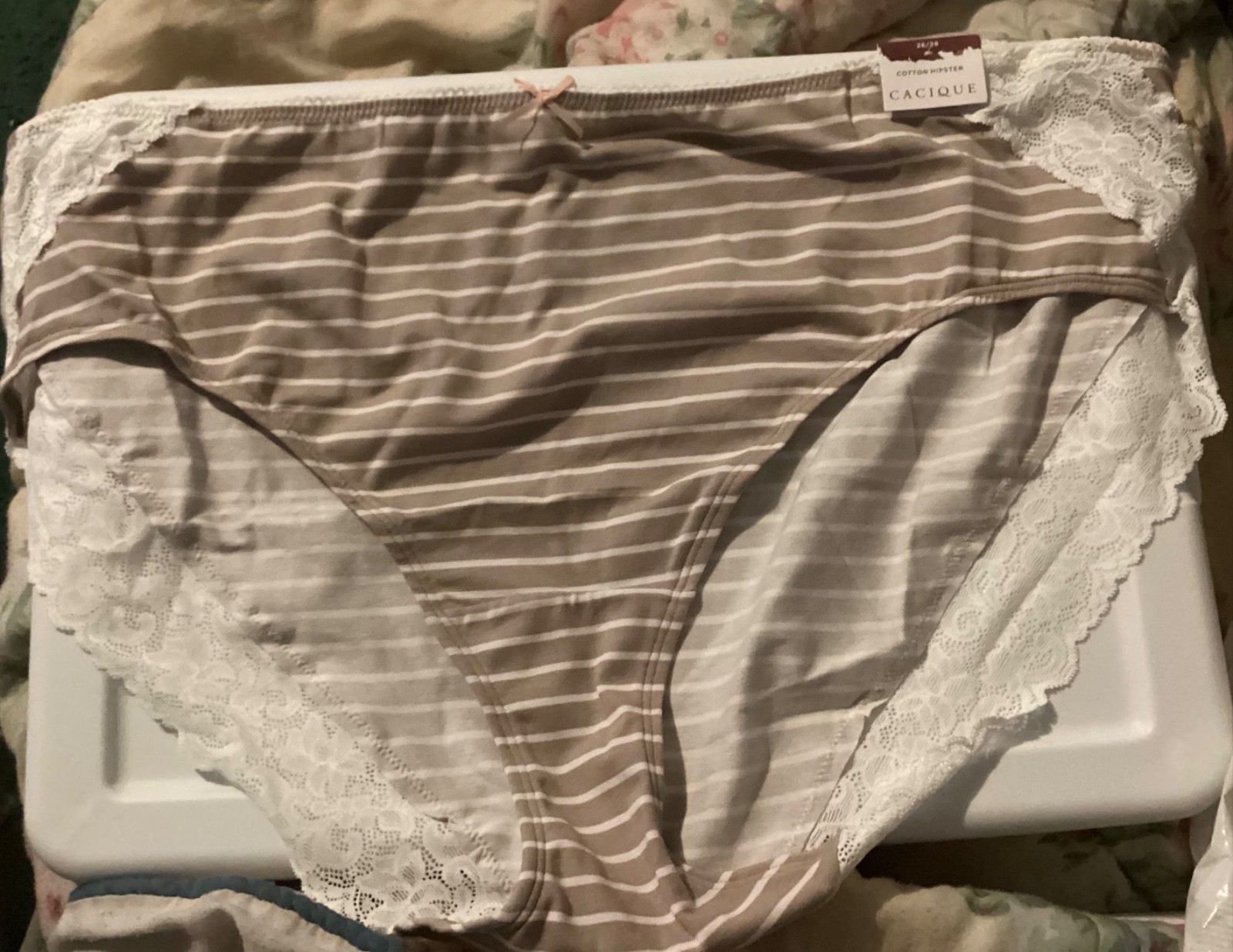 Lane Bryant Cacique panty Lace-Back Cotton Hipster 26 / 28 Taupe White pinstripe