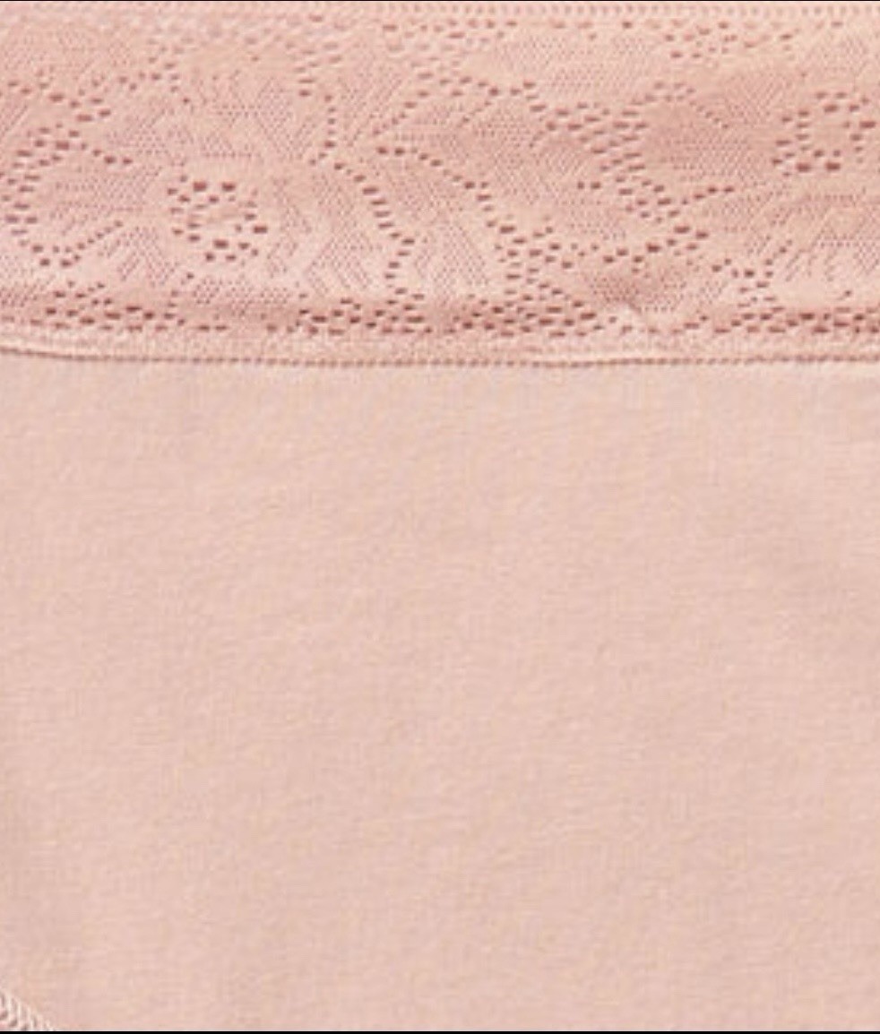 Duluth Women’s Free Range Underwear Modern Lace Top Brief/ Pink ~ Small (6-8)