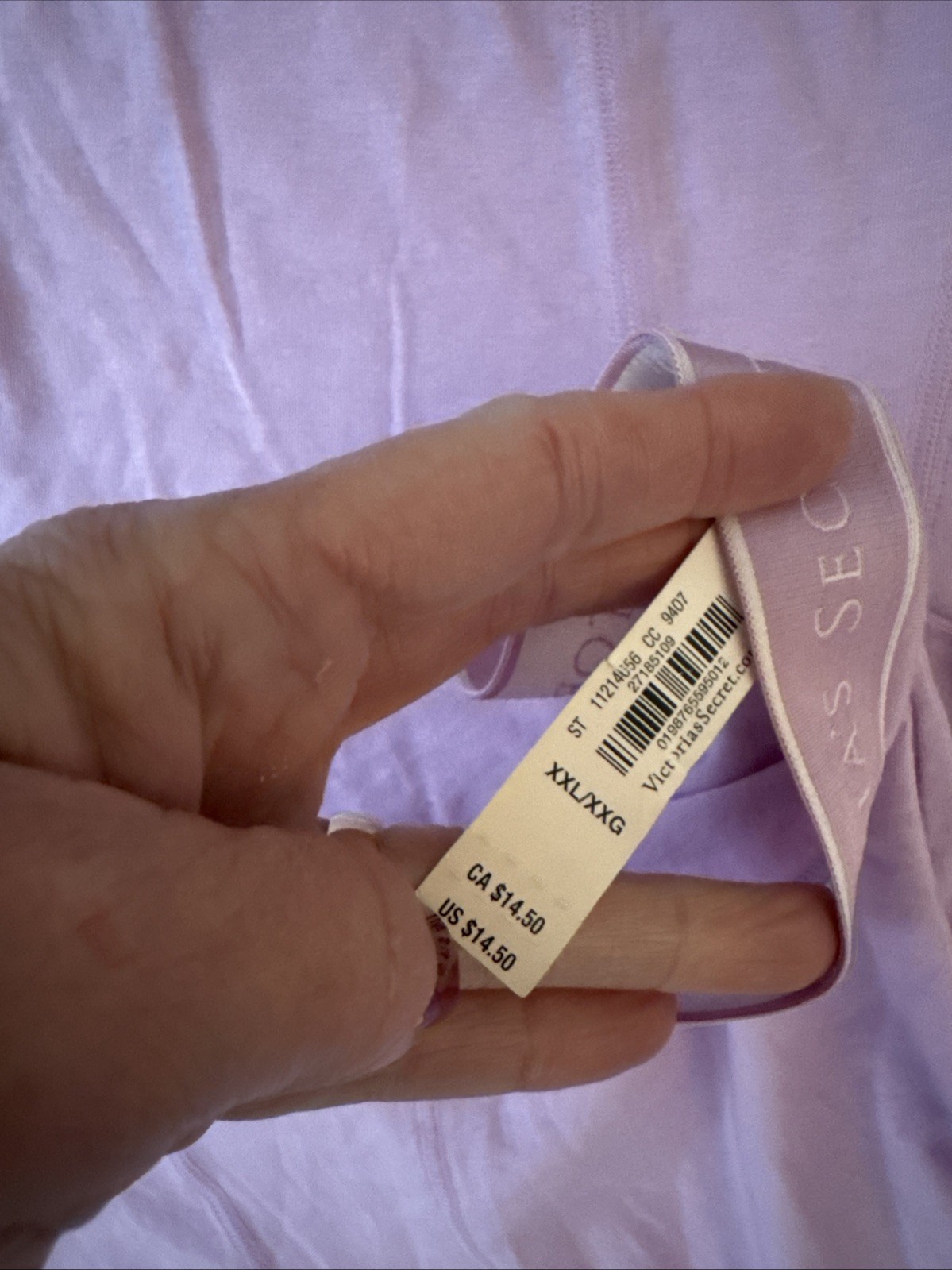 Victoria’s Secret Boy Briefs Slip Lavender Panties Lingerie, XXL Adult 2 Pair