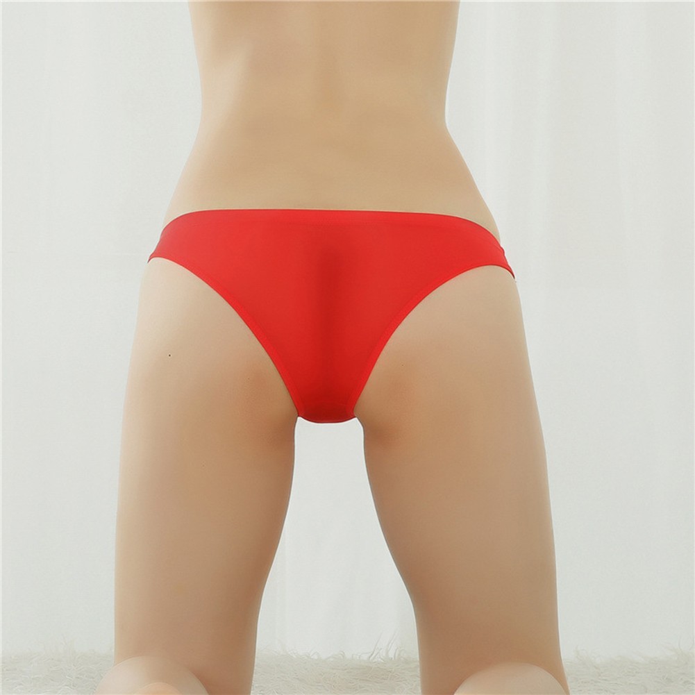 Low Waist See Through Nylon Briefs for Women Comfortable Home for hotel