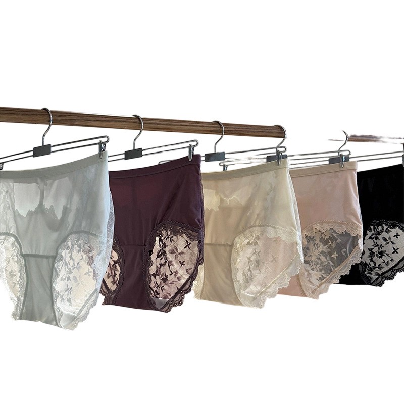 5 Pack Lot Sexy Womens Lace Panties Underwear Briefs See Through Lingeries Soft