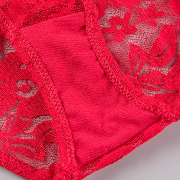 5 Pack Lot Sexy Womens Lace Panties Briefs Low Waist Bikini Underwear Lingeries