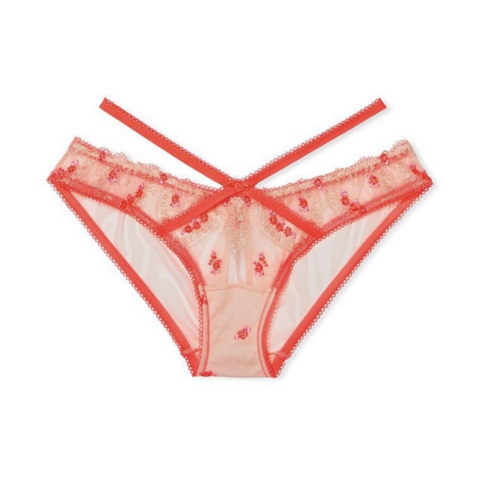 NWT Victoria Secret Dream Angels Heart Embroidery Keyhole Cheekini Panty XXL