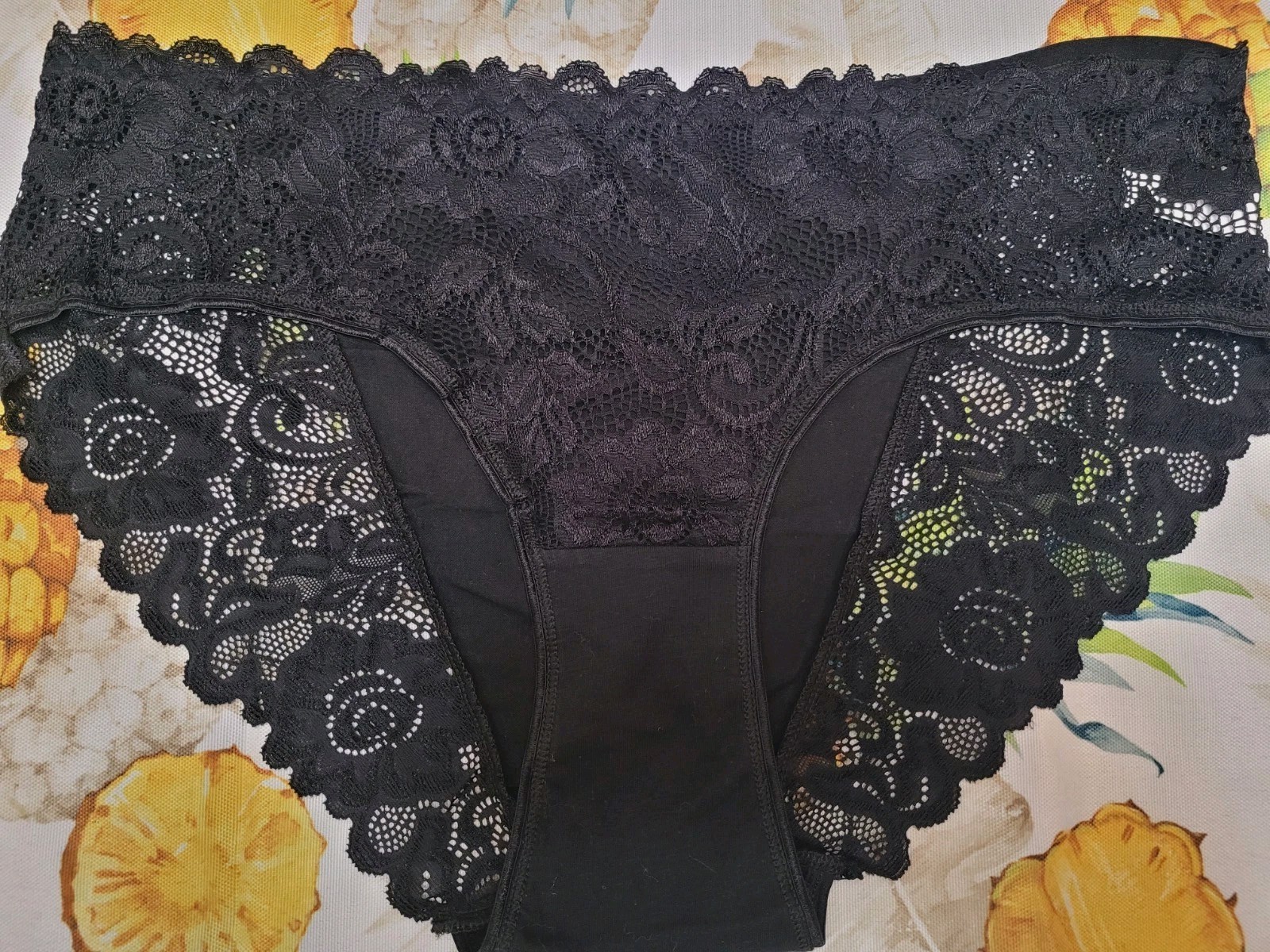 Retro Chic Women’s Sheer Sexy Lace Ladies Mid-Rise Floral Brief Panty Nwot