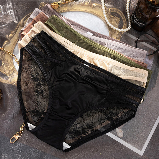 6pcs Lot Sexy Womens Satin Lingeries Panties Sheer See Through Underwear Briefs