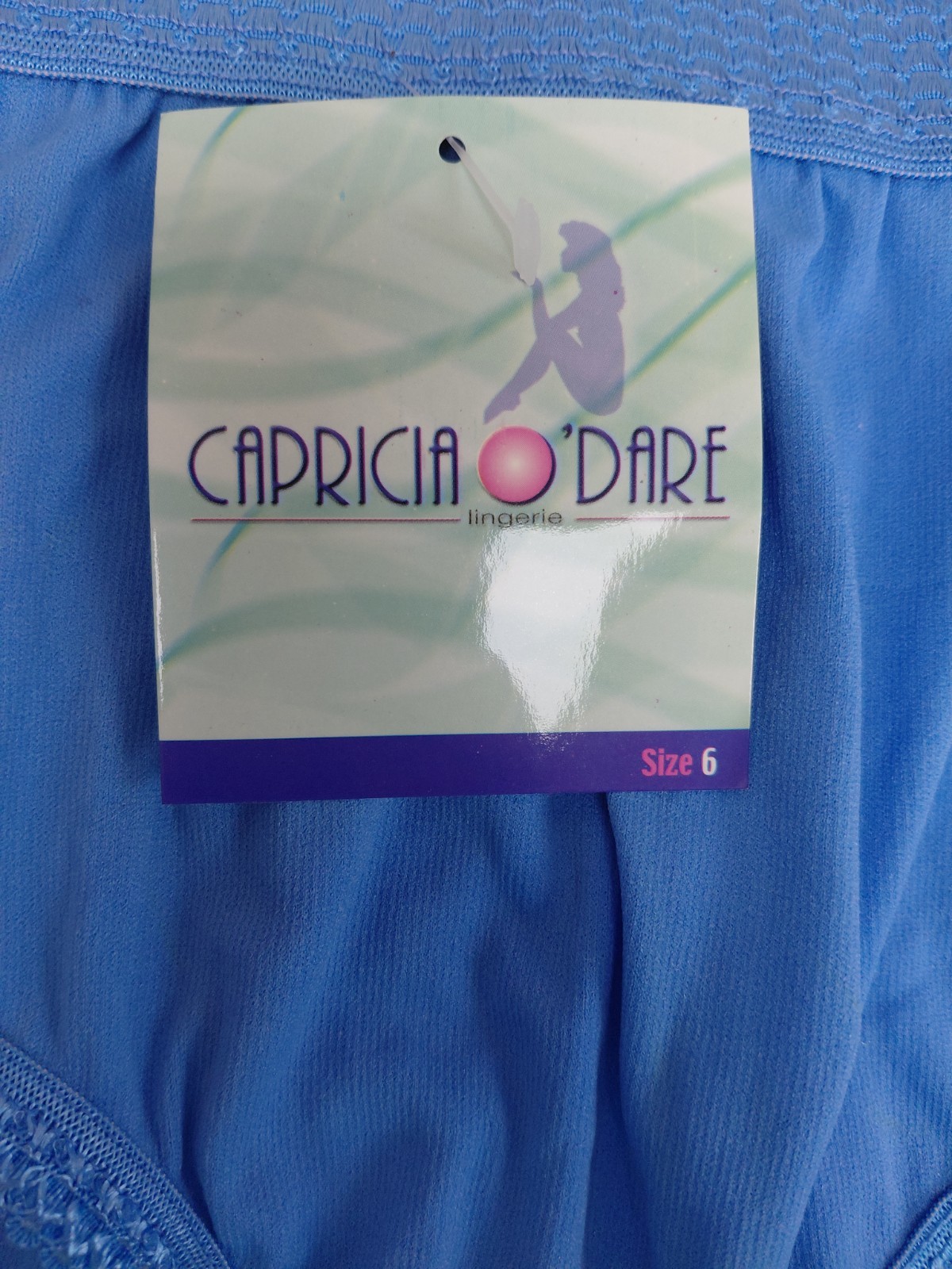 Vintage Capricia O’Dare Brief Size M/6