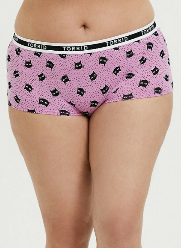 NWT Torrid Plus Sizes 2X or 4X Logo Pink Black Cat Cotton Panty Boyshorts
