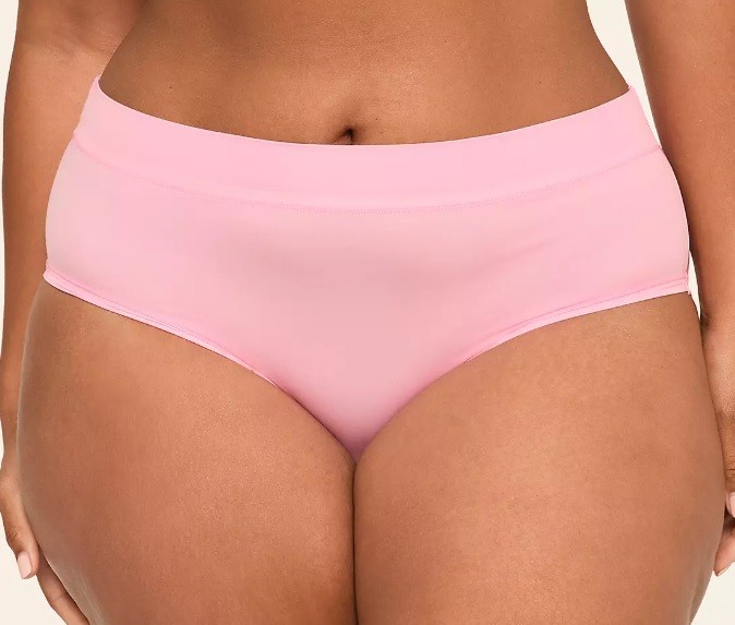 NWT – Lane Bryant Bubble Gum Pink Comfort Bliss Hipster Sz 18/20 Ret:$12.50