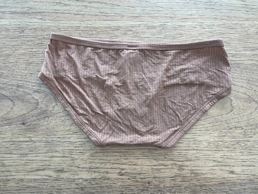 Aerie Smooth Brown LARGE Superchill Modal Rib Boybrief Underwear Panty NWT