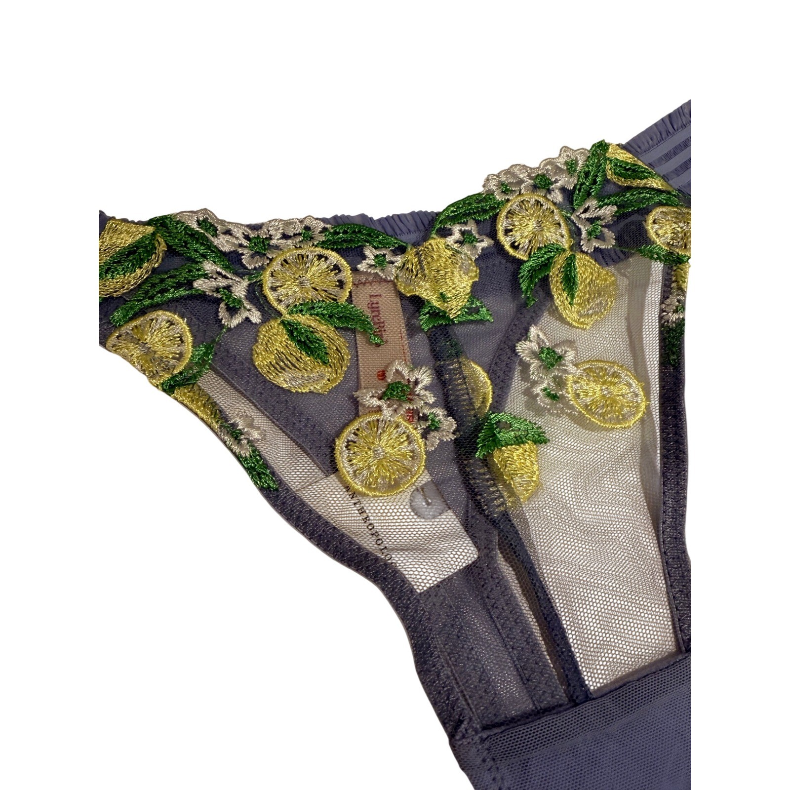 Anthropologie Lyre Bird Lemon Embroidered Mesh Thong Periwinkle Blue Medium NWT