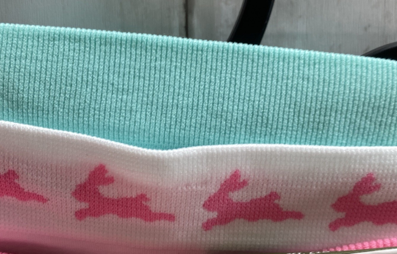 Womens Bikini 3 Pair Seamless Underwear Pastel Colors XL (16-18) NWT