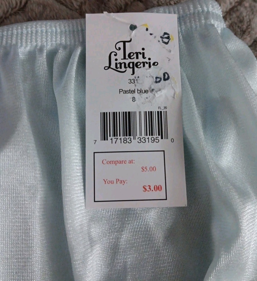 Teri Lingerie Womens Pastal Blue Brief Panties Size 8
