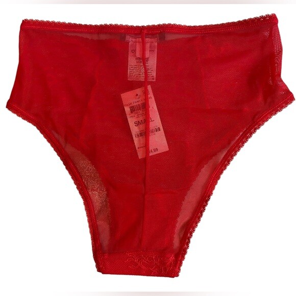 I.N.C. INTERNATIONAL CONCEPTS Women’s Cheeky Lace Brief Underwear Ski Patrol