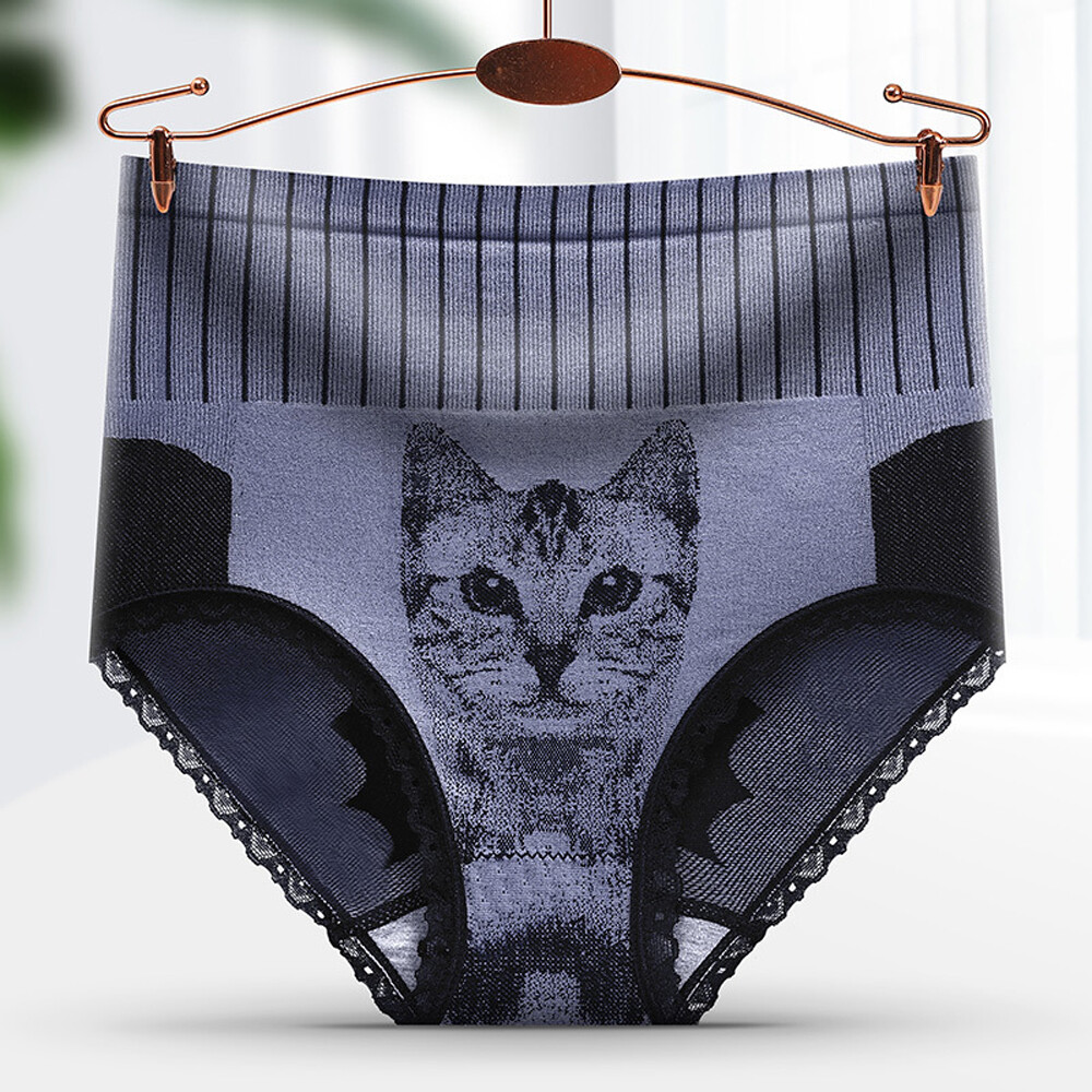 Hip-up High Waist Graphene Underwear Lace Briefs Court Cat High Waist Panties