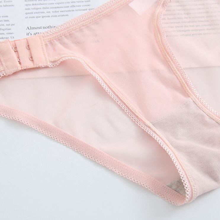 Womens Lady Sexy Briefs Sheer Panties Thongs G-string Lingerie Mesh Underwear