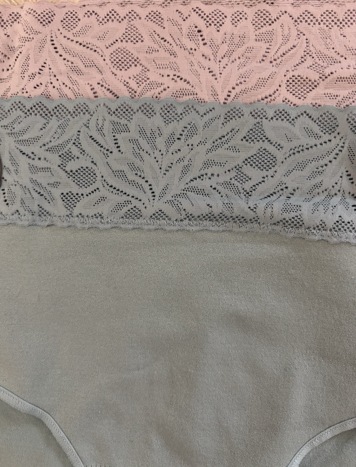 NEW Women’s Bali Medium 2-pack Seamless Lace Trim Brief DFMLB3 Blue & Lavender