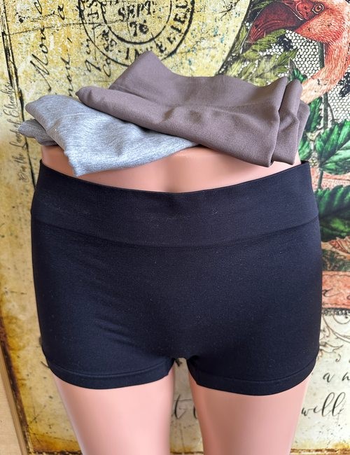 AnyBody Seamless Wide Waist Boyshort Panties Set of Three