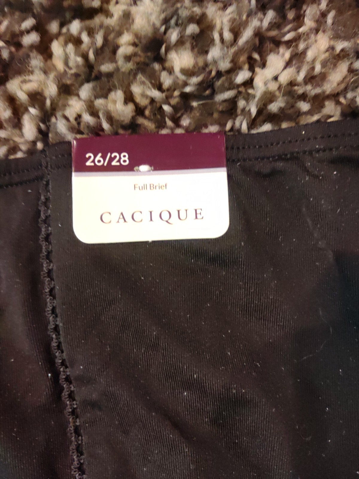 NWT 26/28 Lane Bryant Cacique Nylon Full Brief Premium Panty Black NEW