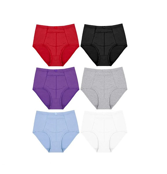 Women’s Assorted 12 Pack Panties High Waist Cotton Blend Briefs With Pocket