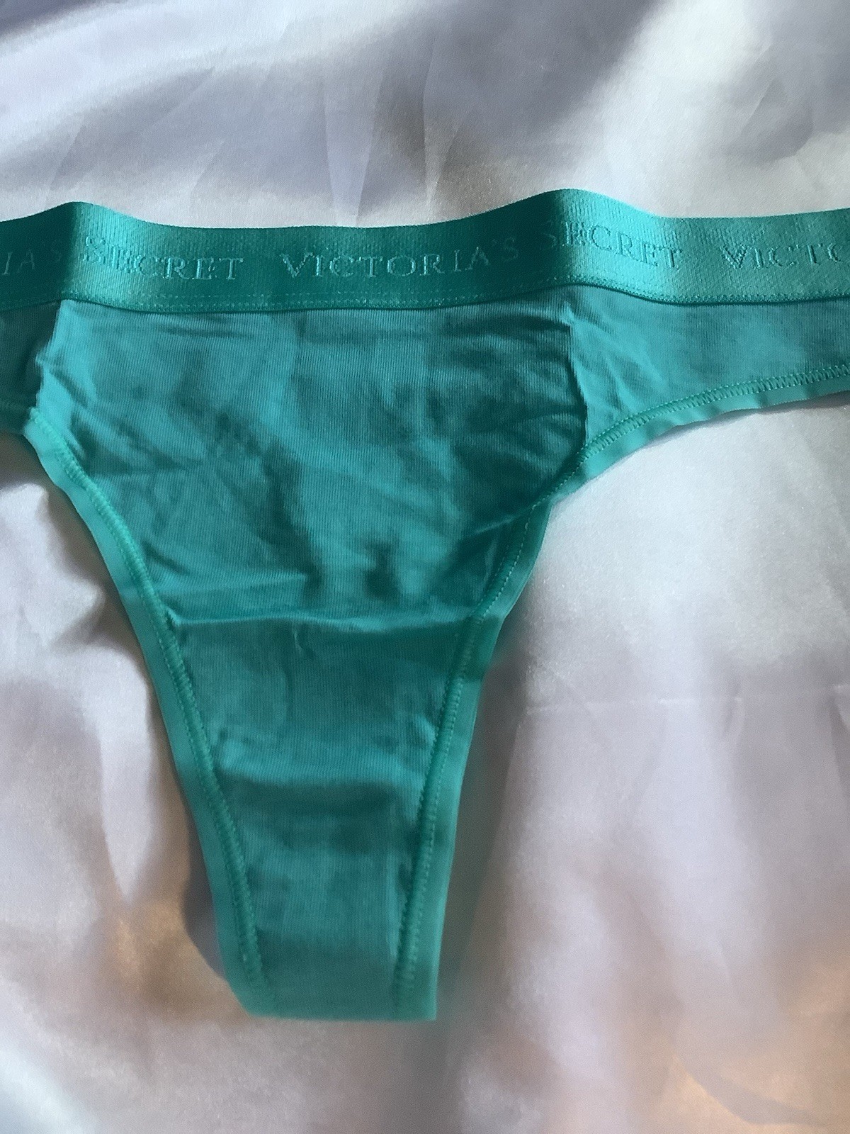 Victoria’s Secret PINK Women’s Thong Panties Band Logo Blue Turquoise 1pk Large