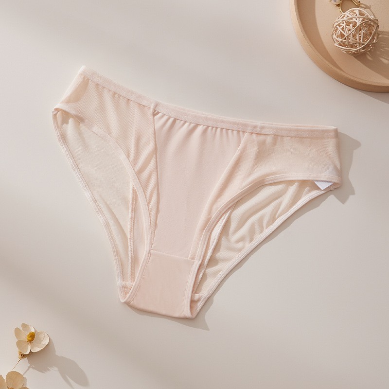 4 Pack Lot Sexy Ladies Womens Sheer Panties Underwear Briefs Lingeries Bikinis