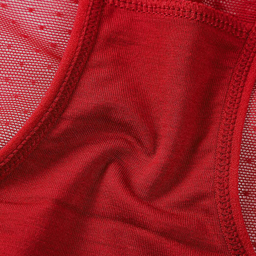 1Pcs Lot Sexy Womens See Through Sheer Panties Underwear Lingeries Cheeky Briefs