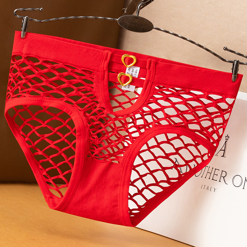 Women’s See Through Panties High Elastic Mesh Fishnet Hollow Out Panty Briers