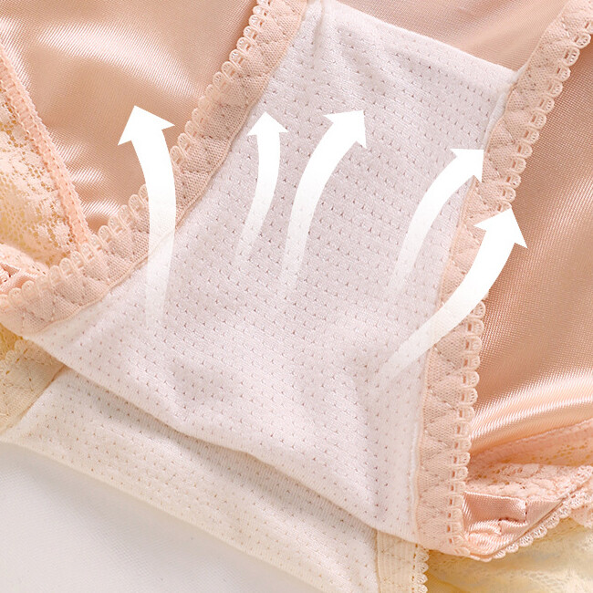 5PCS LOT Sexy Womens Silky Satin Panties Underwear Brief Sheer Lace Lingeries