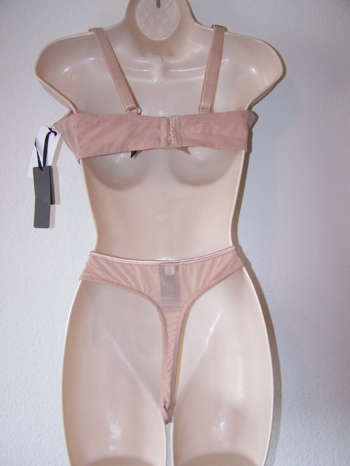 ASHLEY GRAHAM Plus Size Beige pin-striped and lace thong panty X-3X
