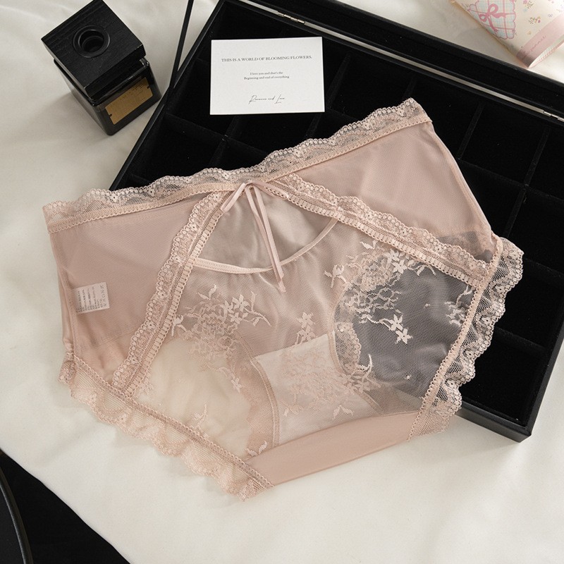 6 Pack Lot Sexy Ladies Womens Sheer Lace Panties Brief French Underwear Lingerie