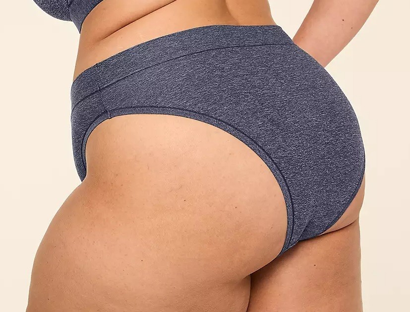 NWT – Lane Bryant Denim Blue Comfort Bliss French Cut Brief Sz 18/20 Ret: $12.50