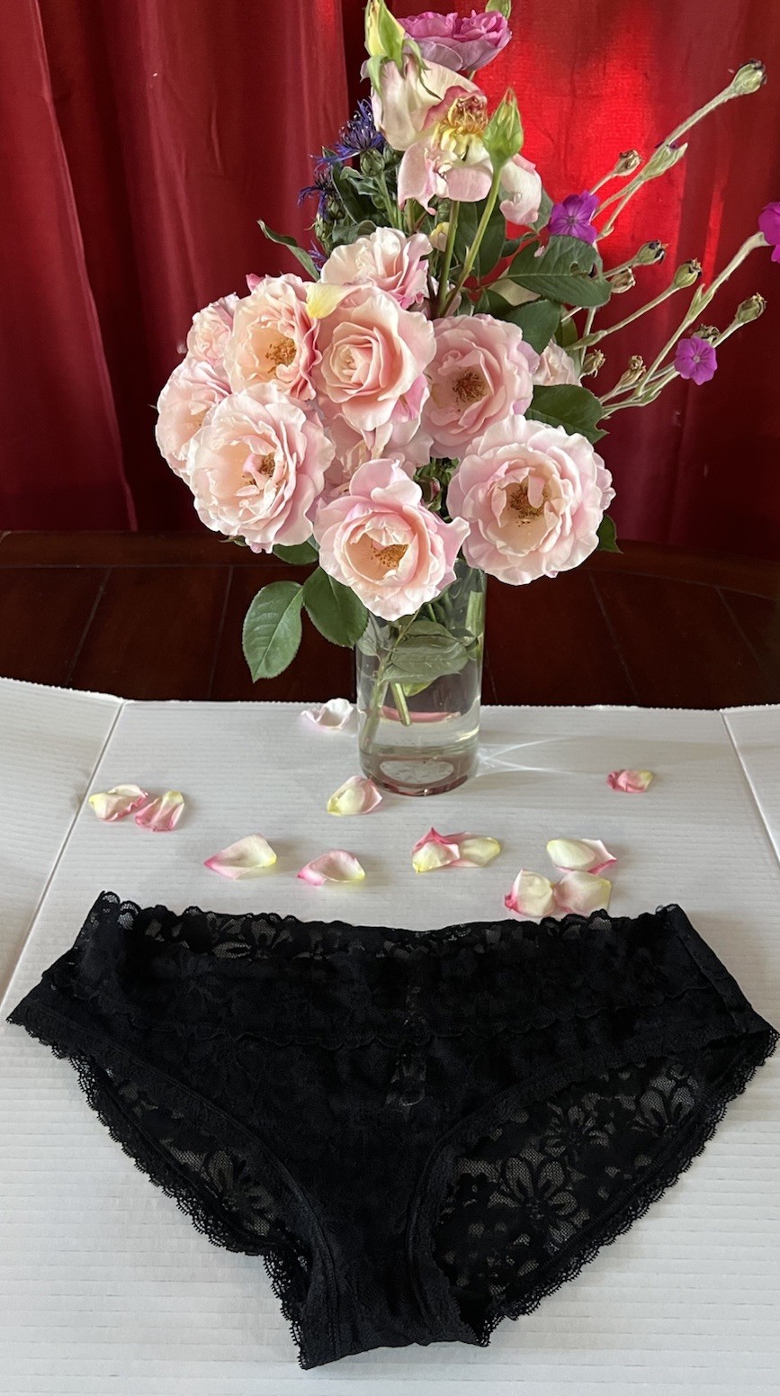Victoria’s Secret HIPHUGGER HIPSTER Black Lace Panty Large NWOT