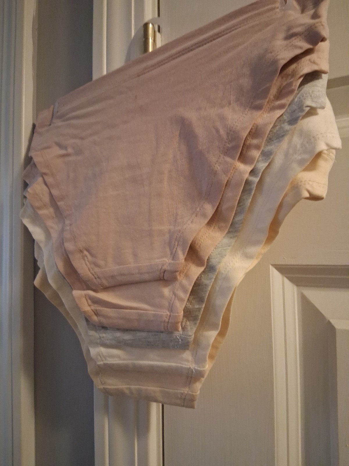 Danskin Organic Cotton Bikinis Panties Pack of 5 Size Small Earth tones NWT + 🎁
