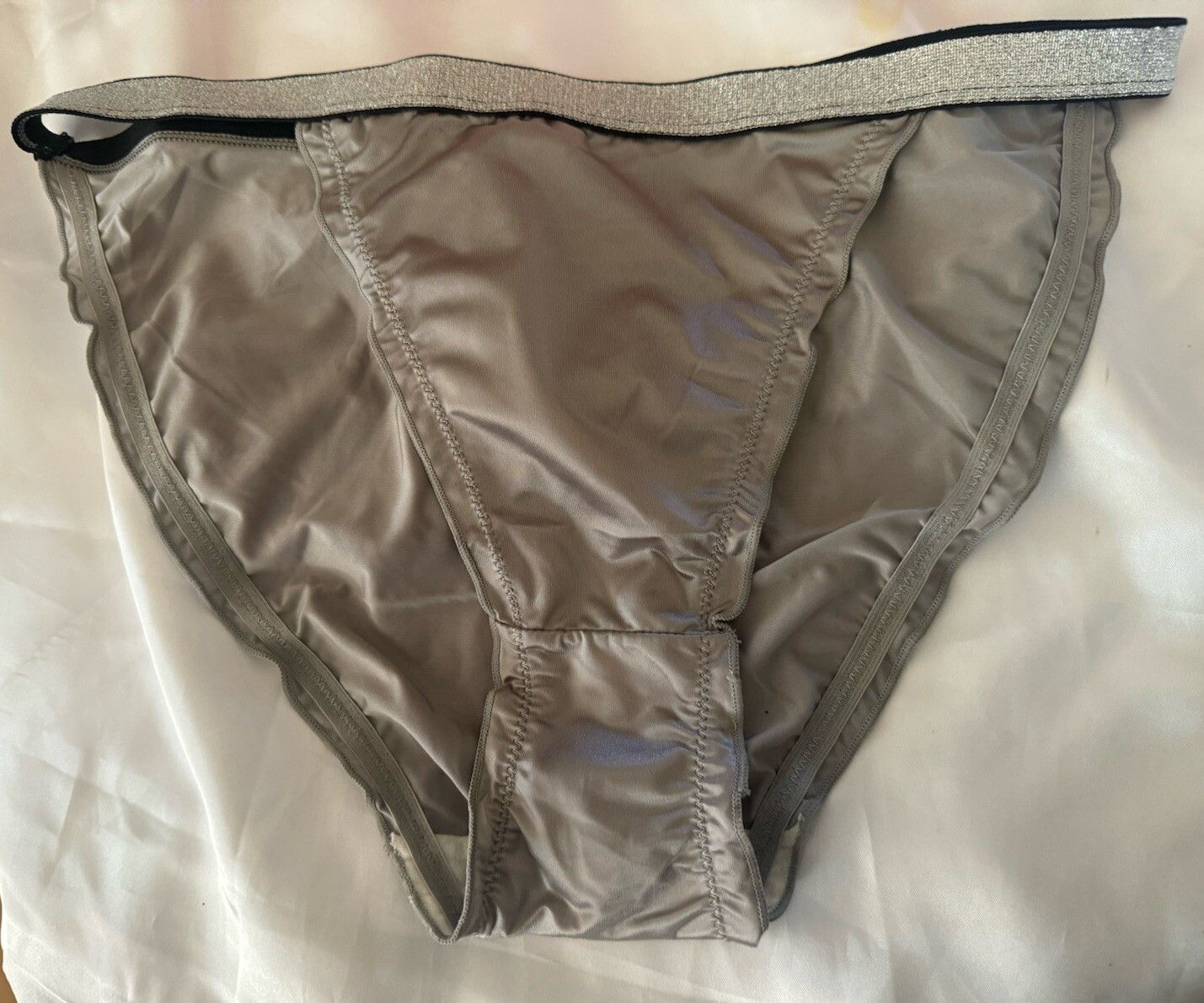 Shiny Silver Satin Nylon Silver Sparkle Thick Band Bikini Panties Sz XL