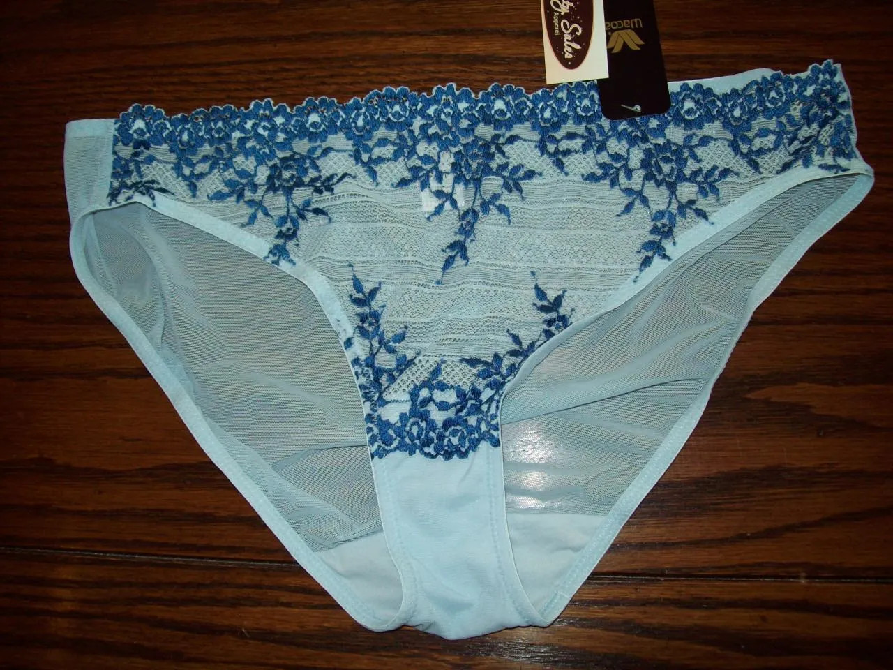 NWT RARE* WACOAL BIKINI PANTIES EMBRACE LACE SHEER W EMBROIDERY 64391 BLUE 488 L