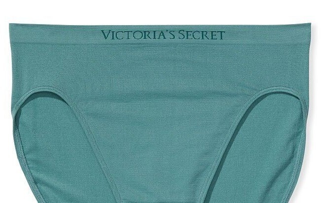 XXL Sage SEAMLESS NOSHOW FULLCOVER Victorias Secret High Leg Waist Brief Panty