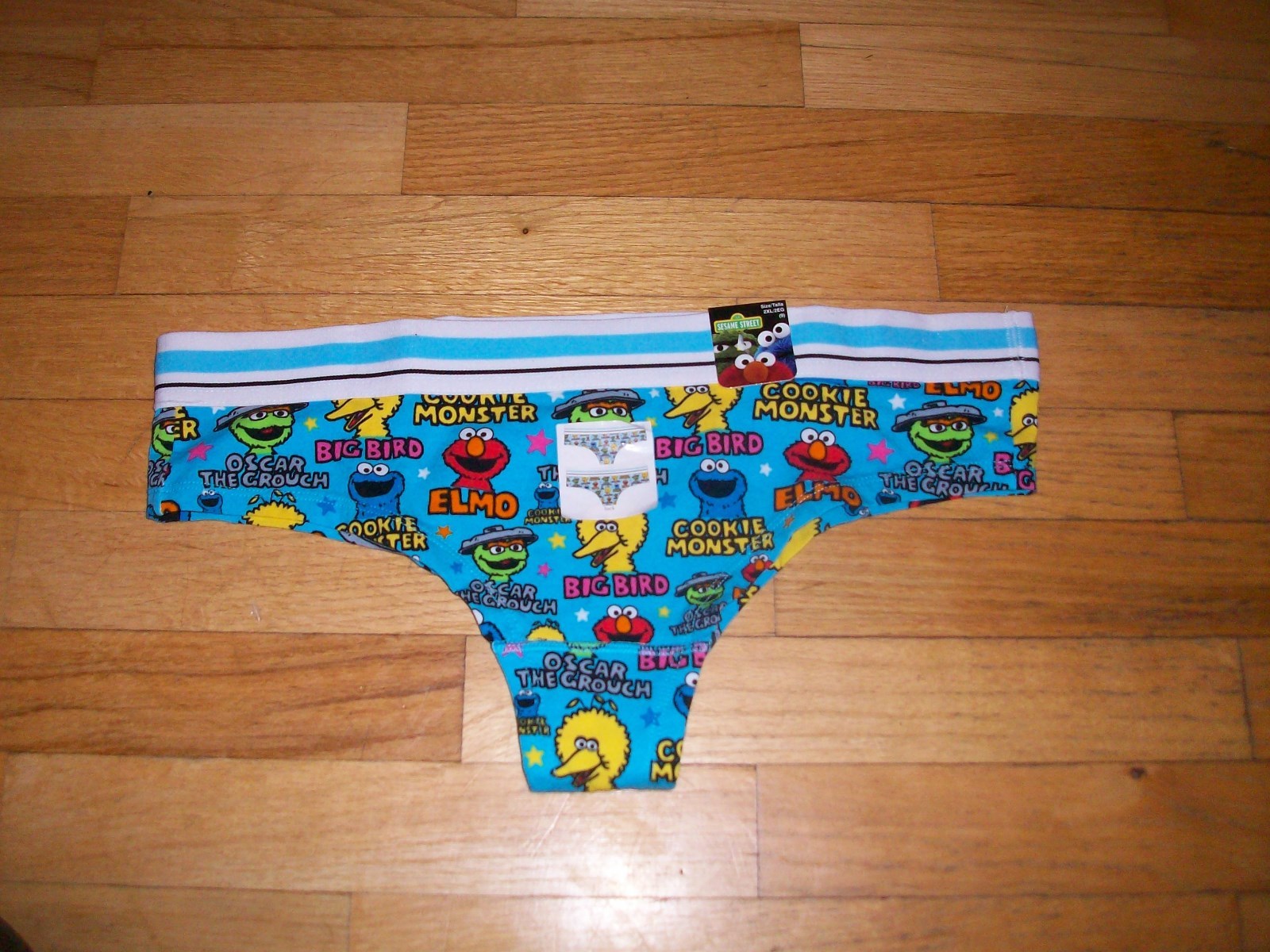 Nwt SEASAME STREET womens panties BIKINI S M L XL 2X