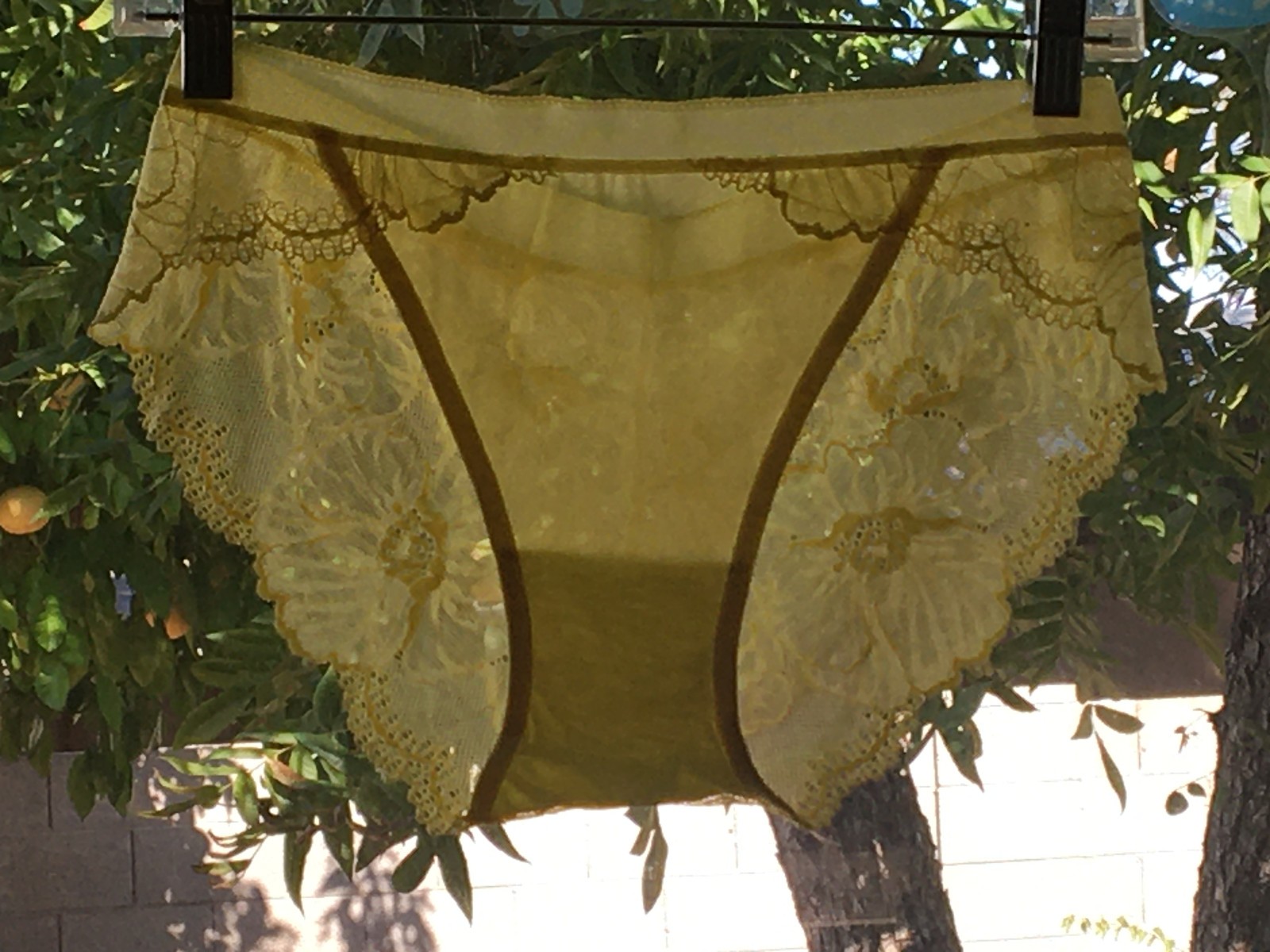 Ultra See Thru Large Sheer Apricot Peach Retro Brief Panties NEW