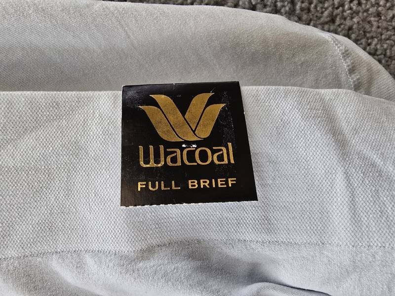 Wacoal Feeling Flexible Brief Underwear Women’s 8-XL Ancient Water Pull On