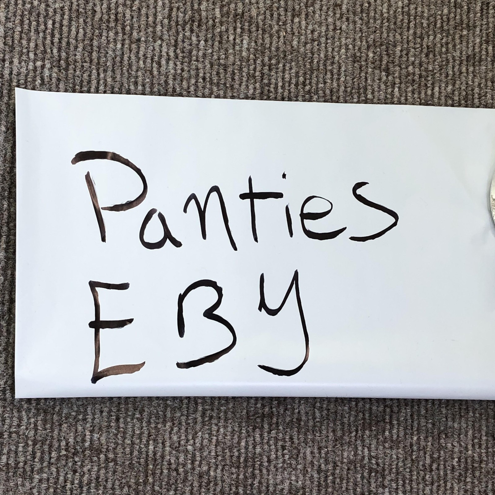 EBY Underwear Womens L White Seamless Brief Panties Soft Microfiber Stretch