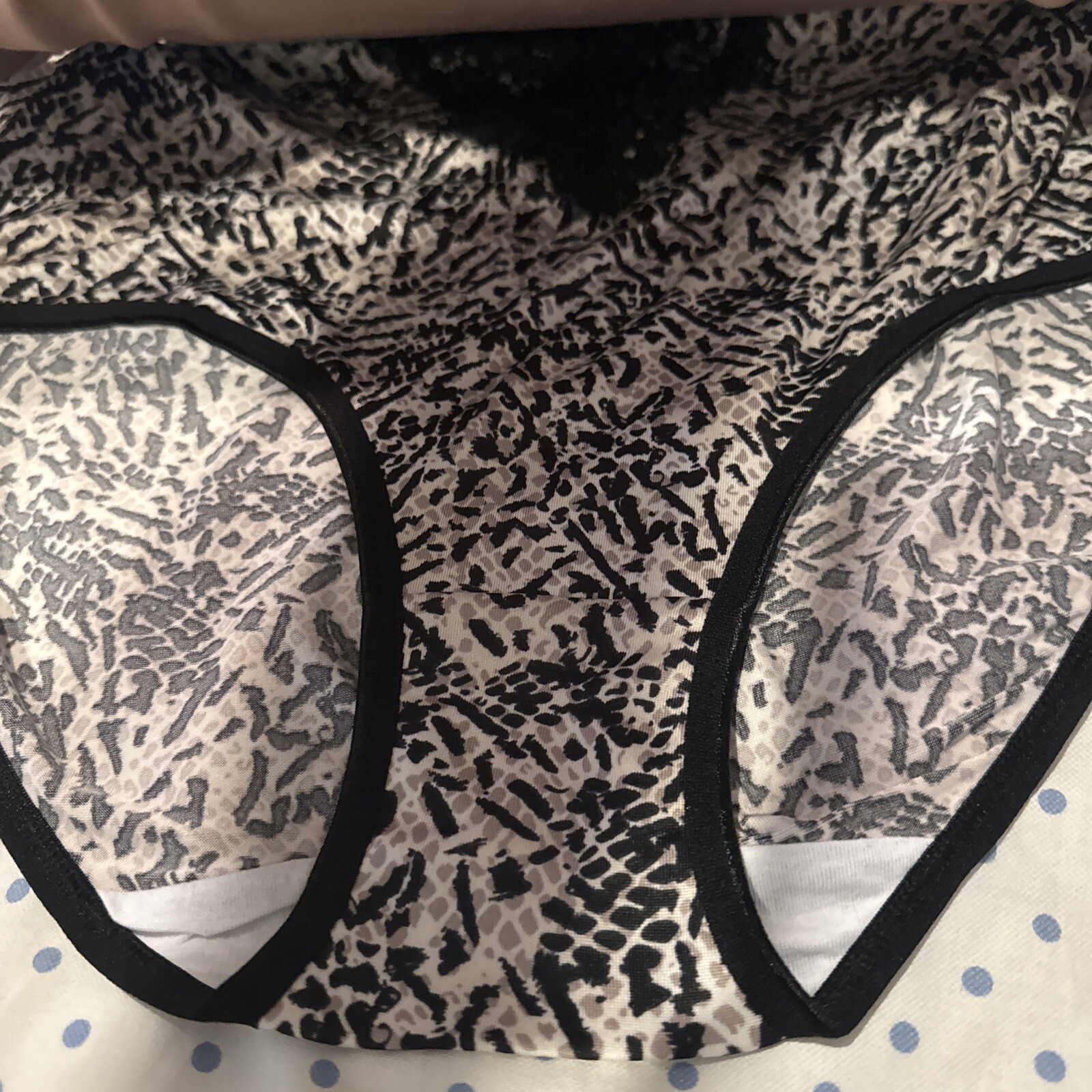 Plus Size Underwear 5 Pair Kathy Ireland Everyday Comfort Panties Briefs Plus 1X