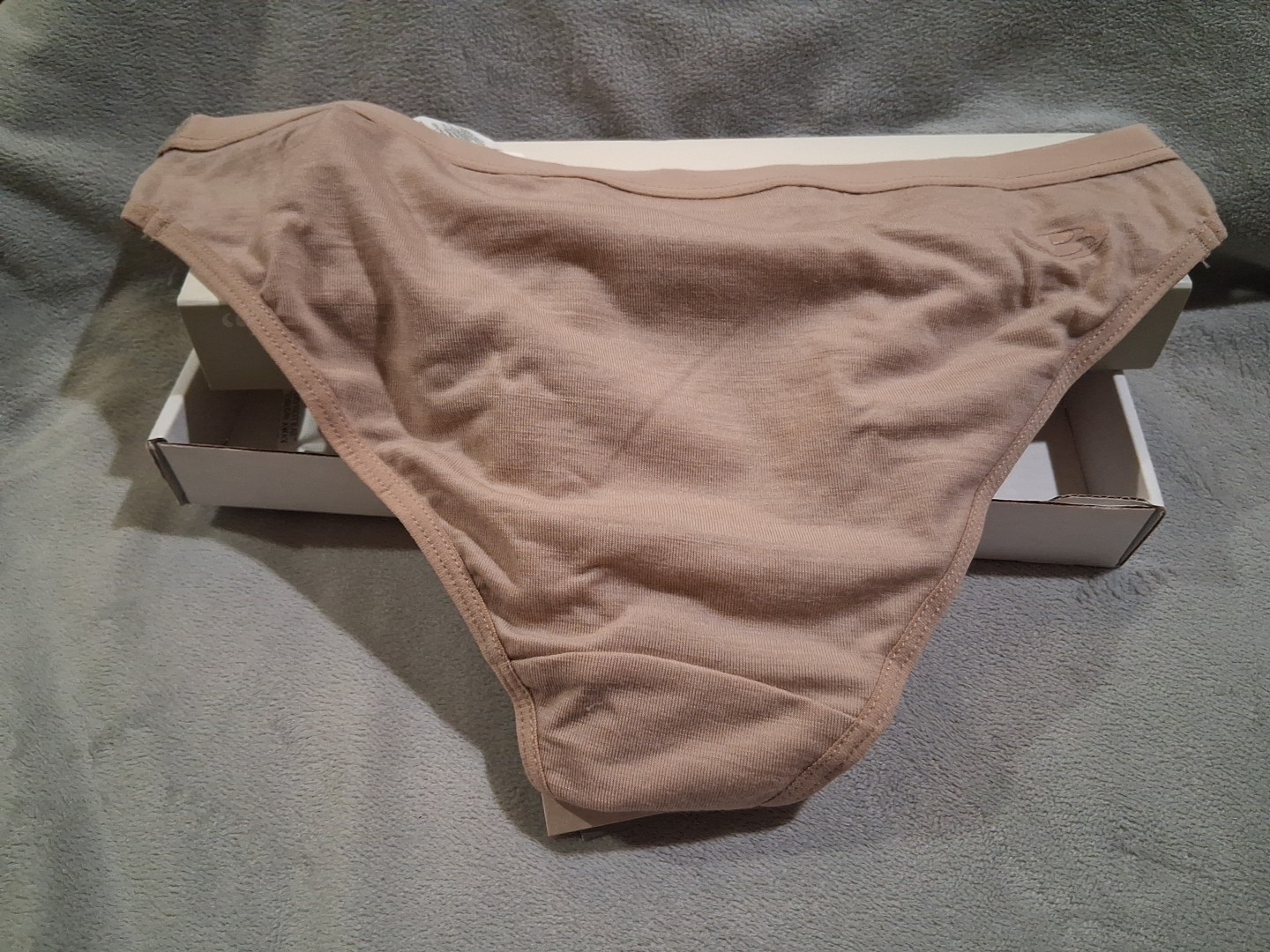 NEW icebreaker Bodyfit Merino Wmns XS Siren Bikini Panty Praline 150 All Season