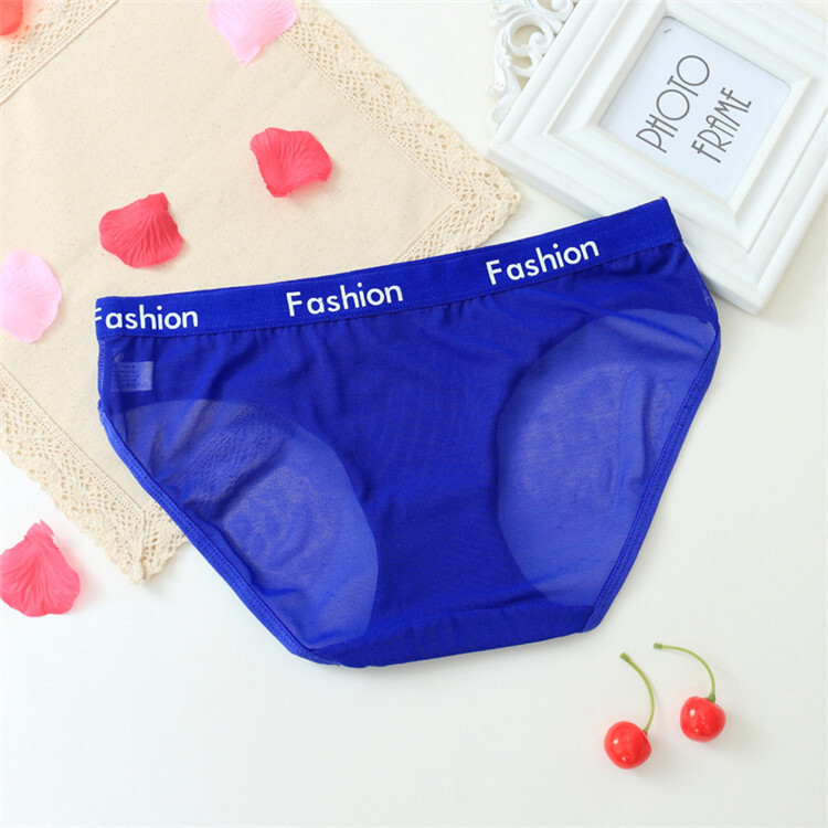 6PCS/LOT Sexy Womens See Through Sheer Panties Brief Lingeries Underwear Hipster